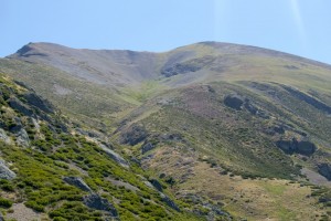Arroyo de la Canaleta