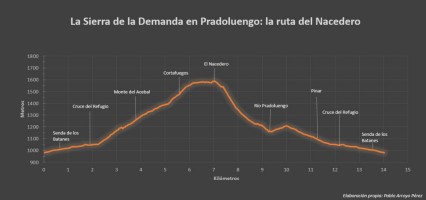 Perfil Topográfico